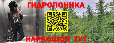 круглые Гатчина