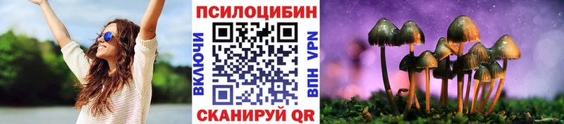 цены   Калуга  kraken   Галлюциногенные грибы MAGIC MUSHROOMS 