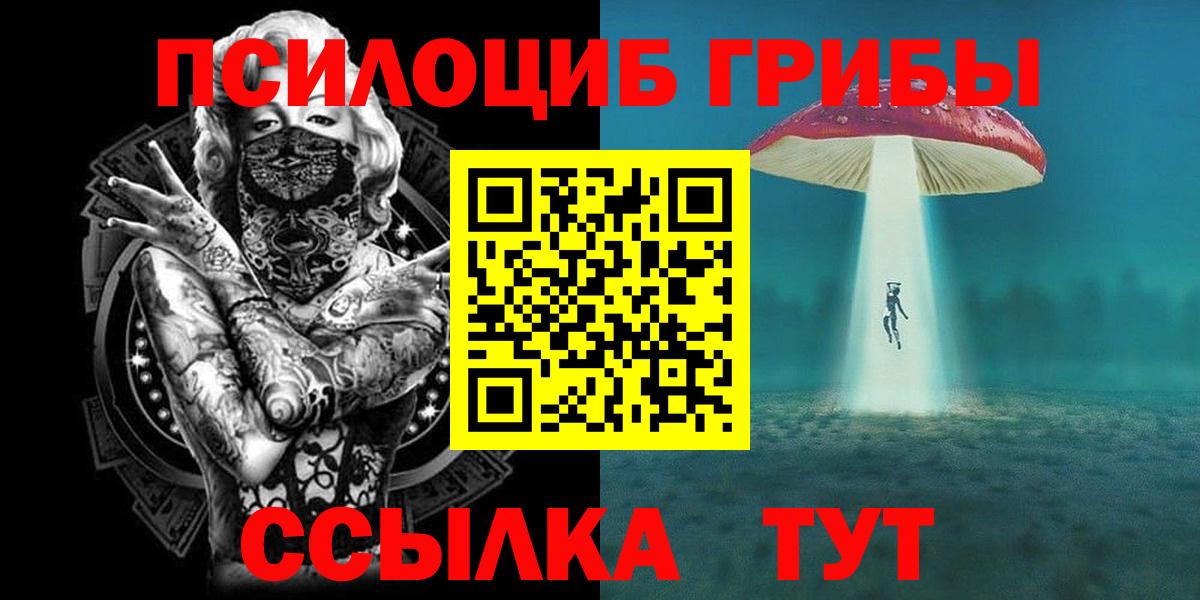 закладки  Псилоцибиновые грибы ЛСД  Калуга  Вход с VPN  Галлюциногенные грибы GOLDEN TEACHER 