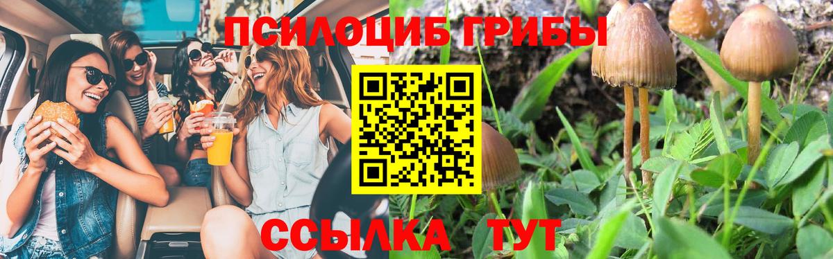Псилоцибиновые грибы MAGIC MUSHROOMS Калуга
